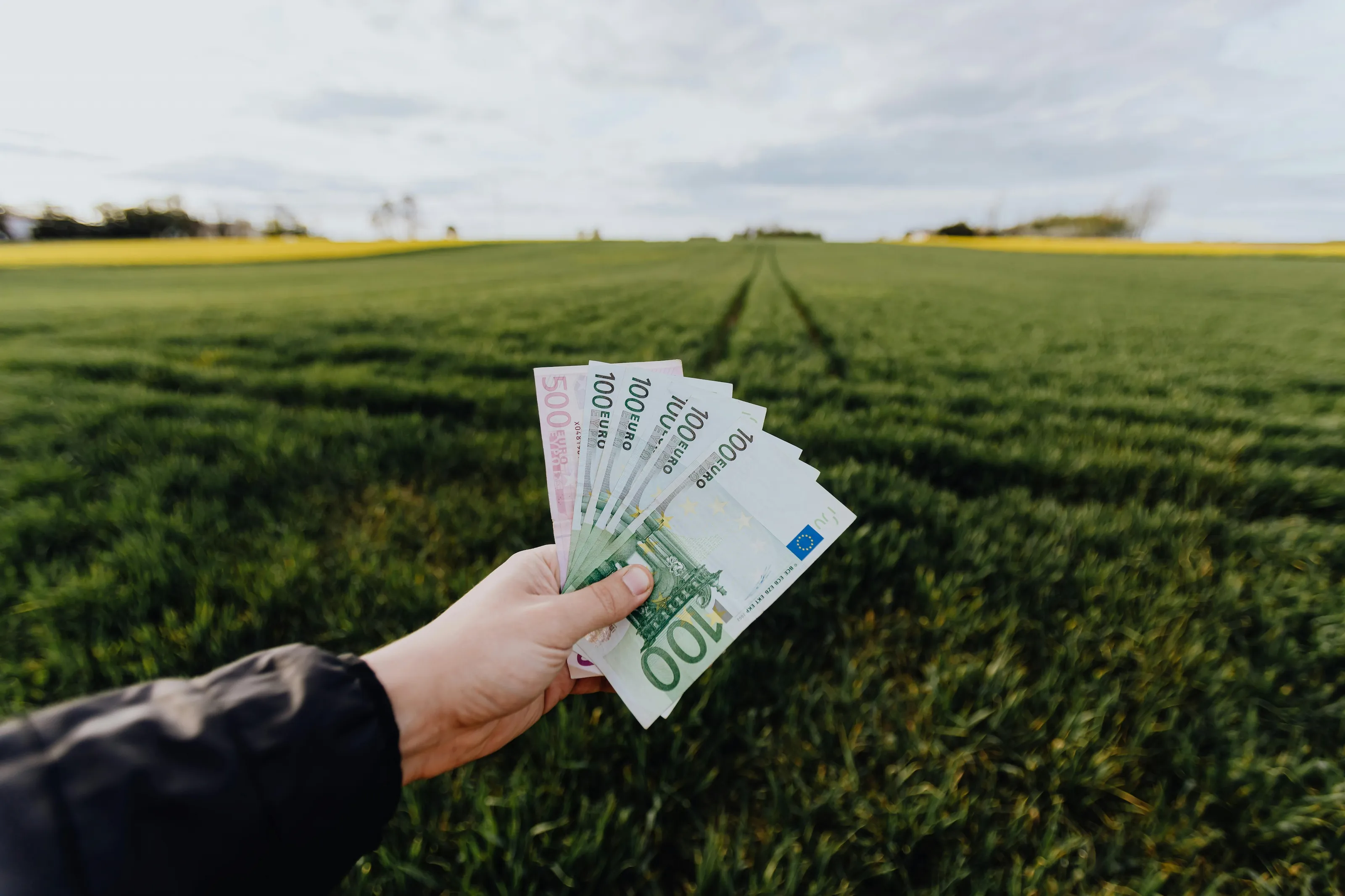 Site Profit